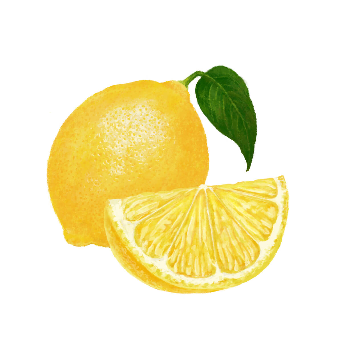 色鉛筆風レモン（葉っぱ有り）
