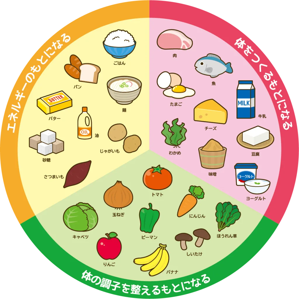 1971929 | QUALITAS(クオリタス)|痩身エステ付きパーソナルジム 三色食品群