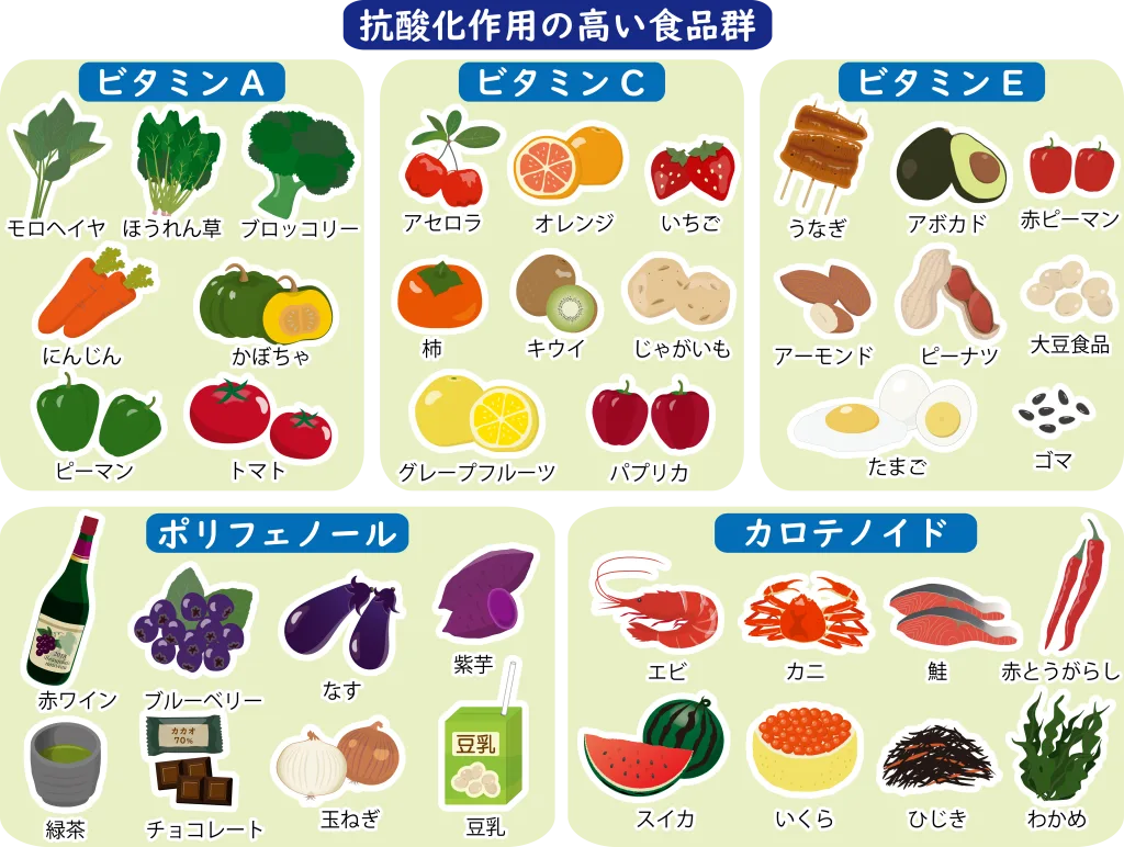 抗酸化作用が高い食材